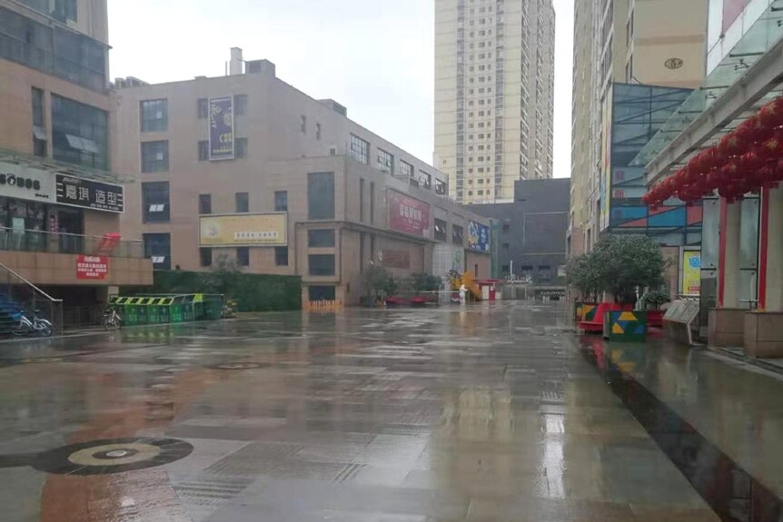 An empty inner city street in Wuhan.