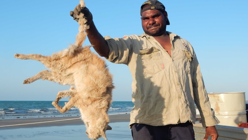 Li-Anthawirriyarra sea ranger Anthony Johnston with a dead feral cat on West Island