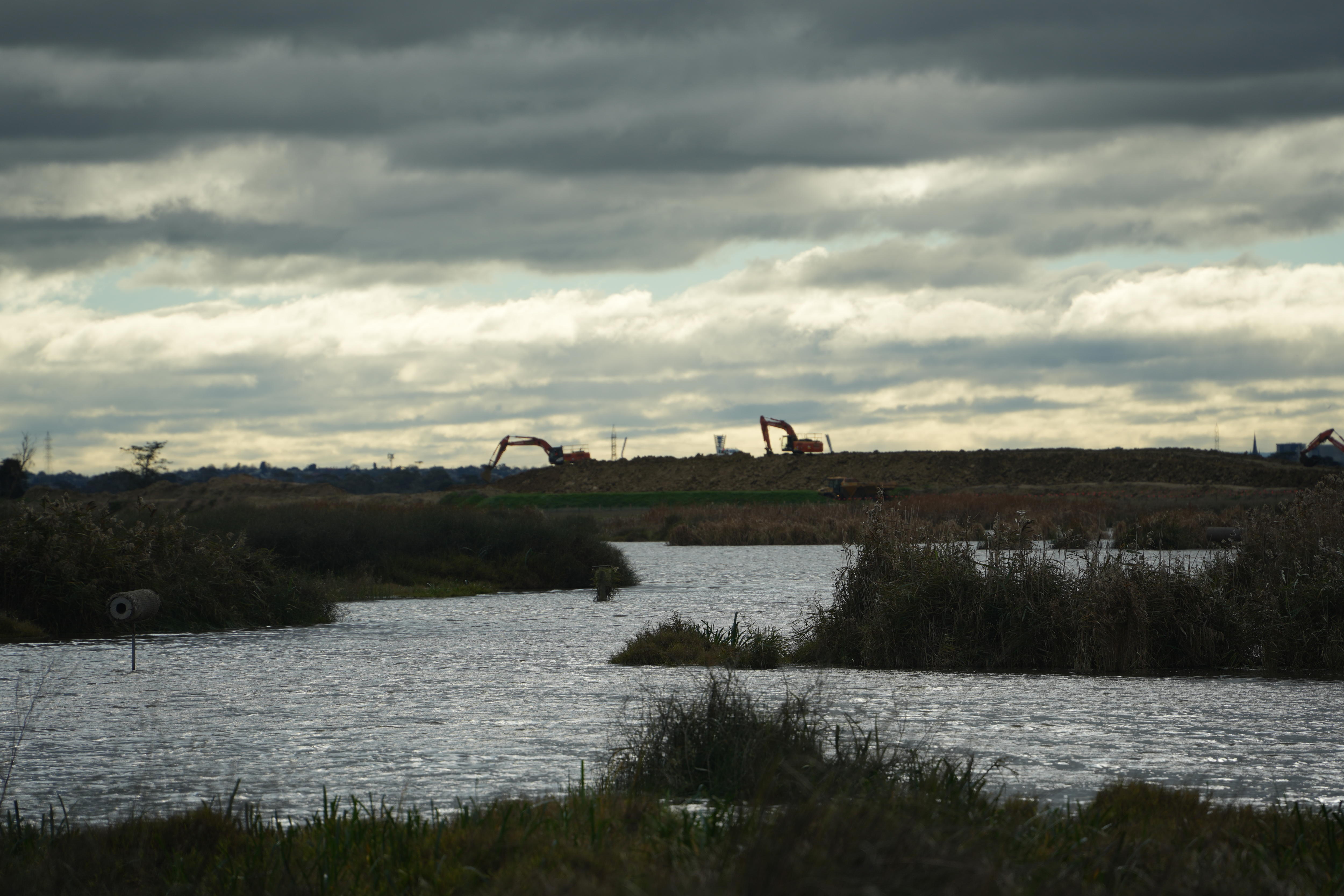 Reedy wetlands in the foreground with construction cranes in the background