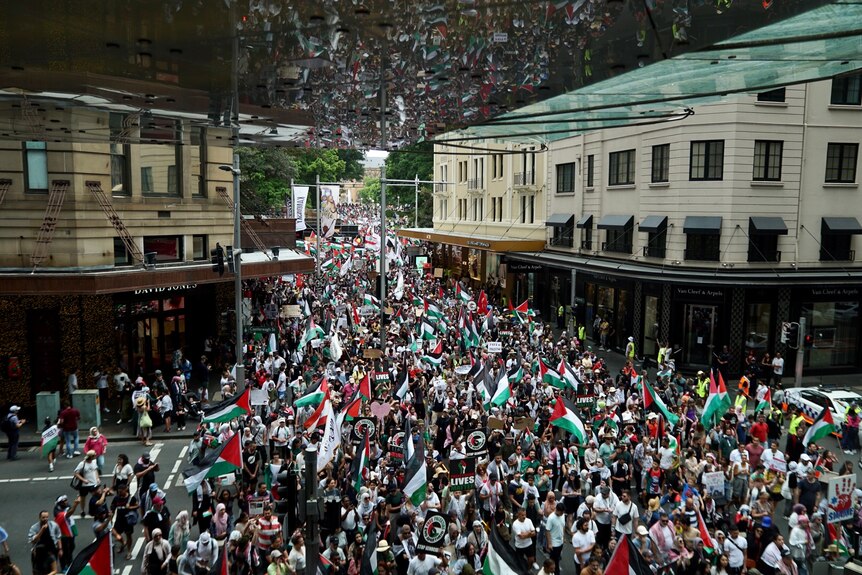 Pro-Palestinian supporters march through Sydney CBD on Sunday, November 12