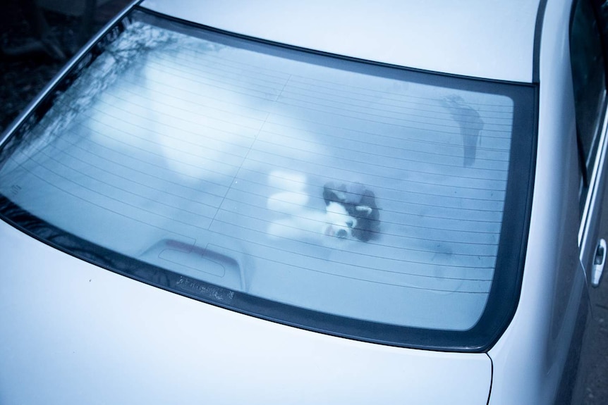 A child's plush toy is visible through the frosted window of a car.