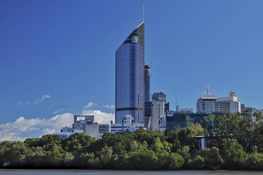 Brisbane city skyline with the 1 William Street building prominent in centre of photo with mangrove trees along the river.