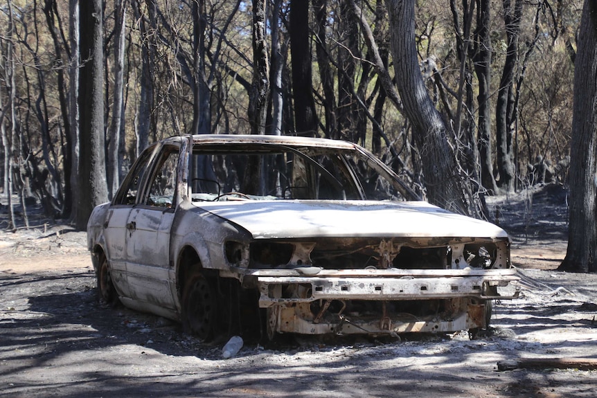 A burnt out car sits among blackened trees.