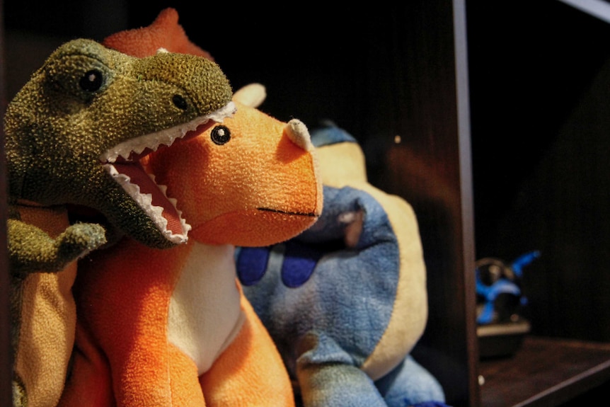 Michelle's two kids have a big collection of dinosaur toys.