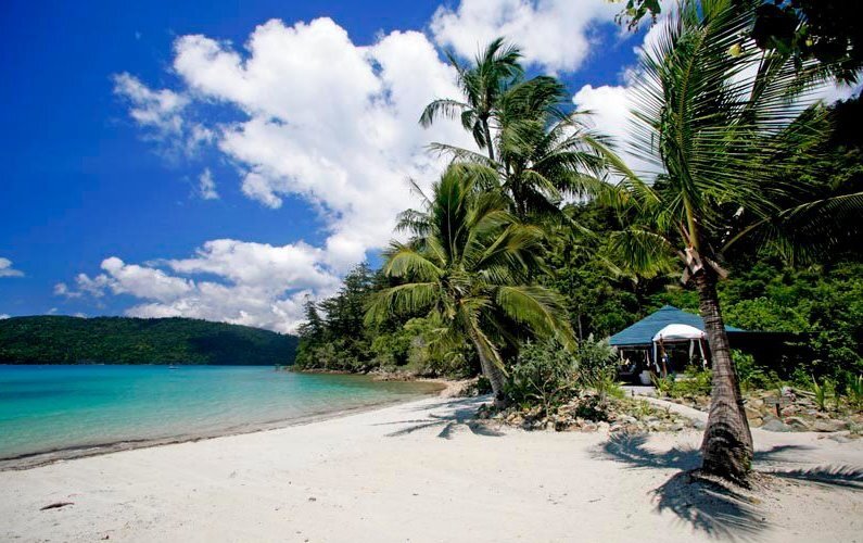 Palm trees and white sand with blue water