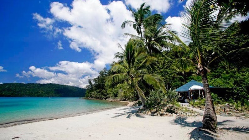 An island with a white sand beach fringed with palm trees.