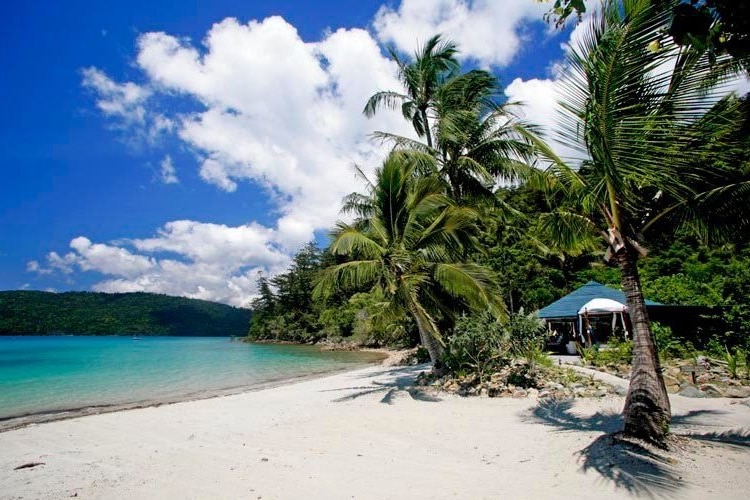 An island with a white sand beach fringed with palm trees.