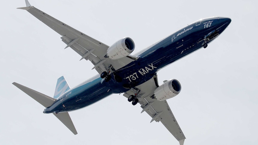 A Boeing 737 Max flies through a clear sky