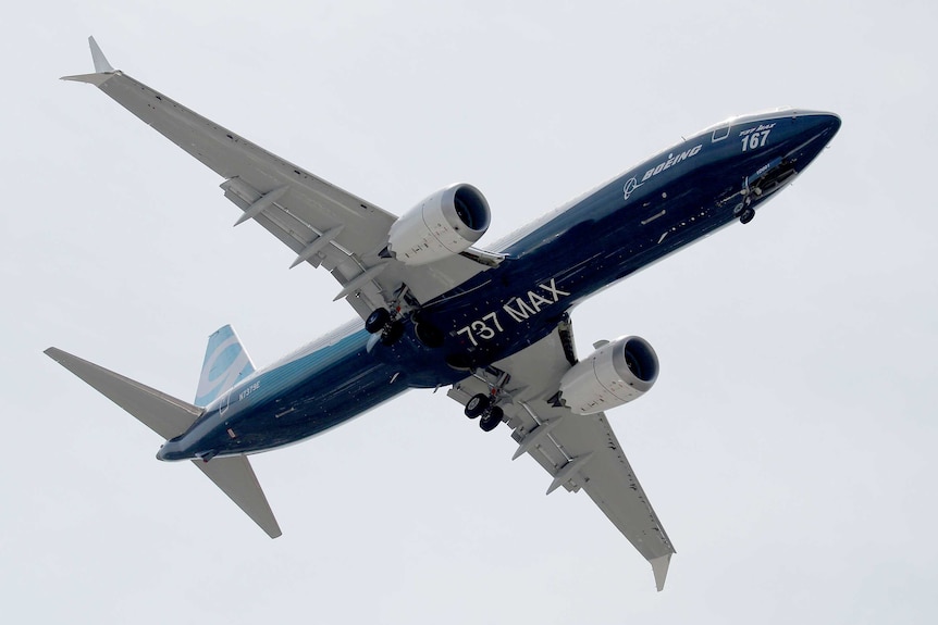 A Boeing 737 Max flies through a clear sky.