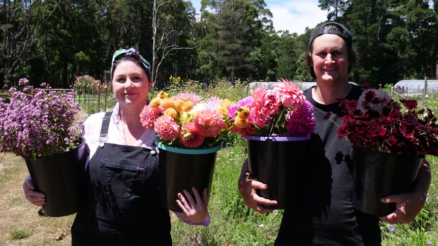 Petal prices are up this Valentine's Day, but Australian growers want us to stick with them