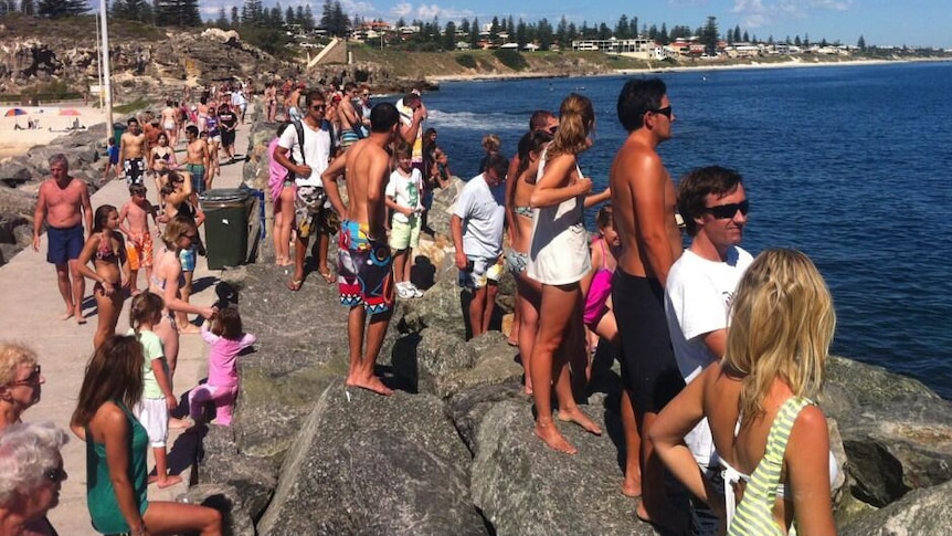 People on Cottesloe groyne looking for the shark