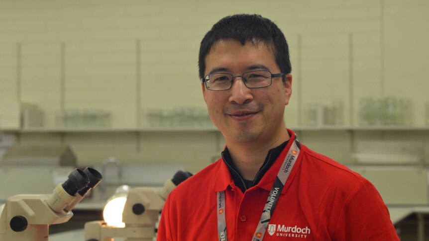 Dr Wei Xu in a lab in the red shirt
