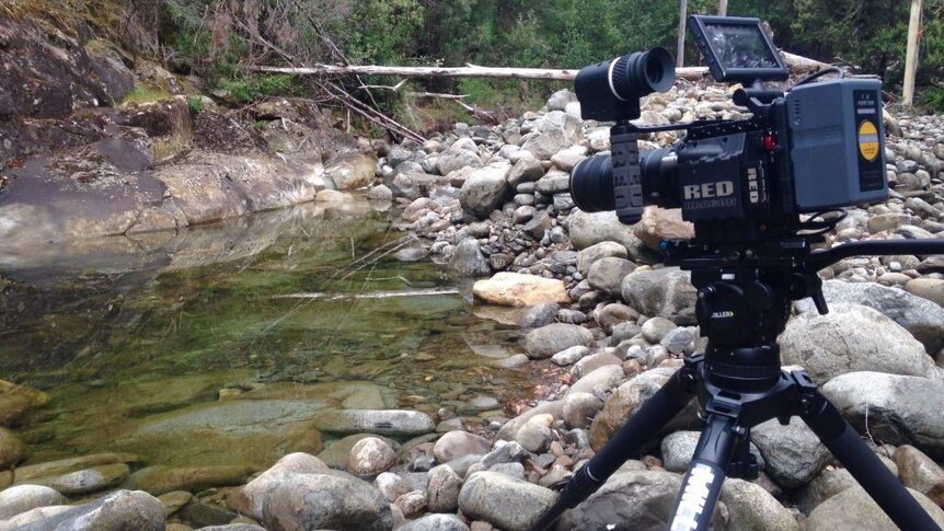 Camera setup in search of platypus in Tasmanian wild.