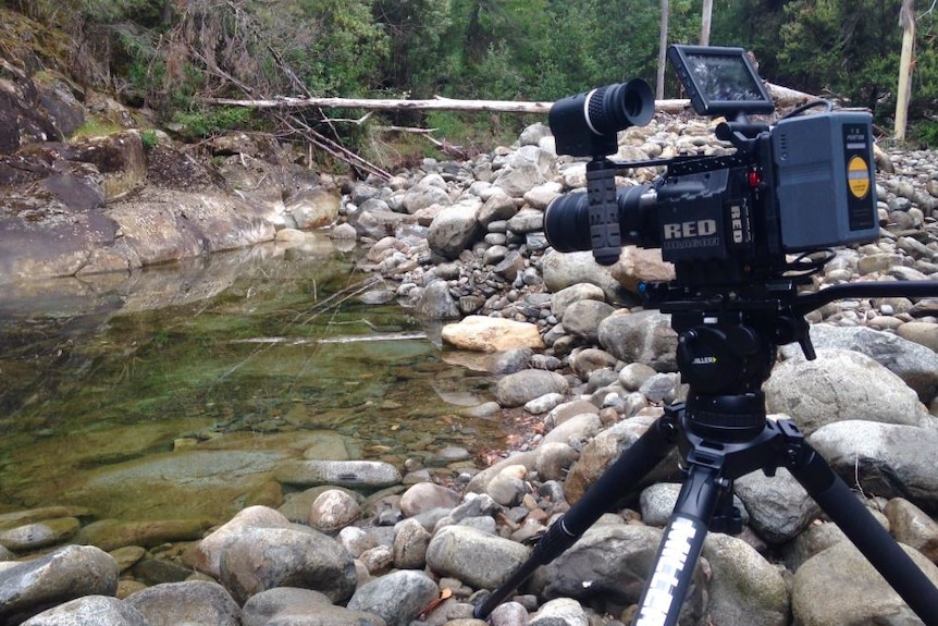 Camera setup in search of platypus in Tasmanian wild.