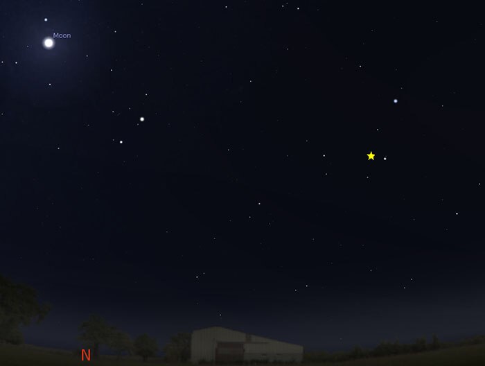 Sky map showing Leonid meteor shower