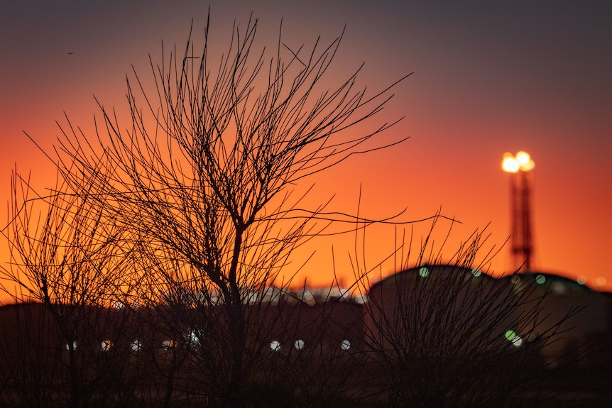 Woodside's gas plant can be seen in the distance through native plants.