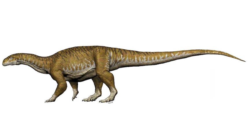 Reconstruction of dinosaur Ingentia prima.