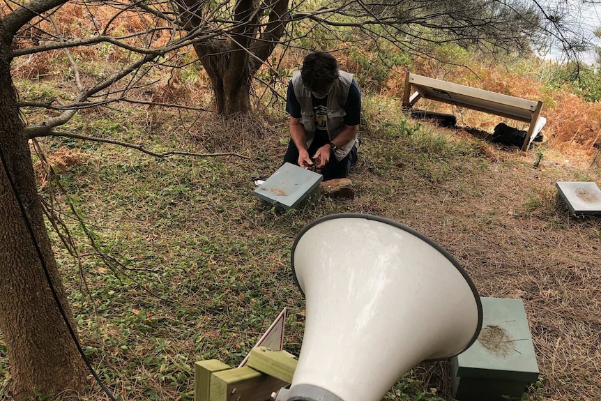 A researcher kneels on the grass, installing a large speaker on an island.