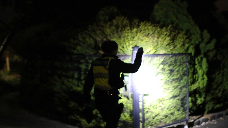 A police officer shines a torch on a bush in a suburban yard.
