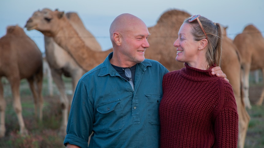 A man in a blue shirt and a woman in a maroon jumper smile at each other, with camels standing behind them.