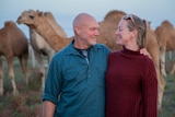 A man in a blue shirt and a woman in a maroon jumper smile at each other, with camels standing behind them.