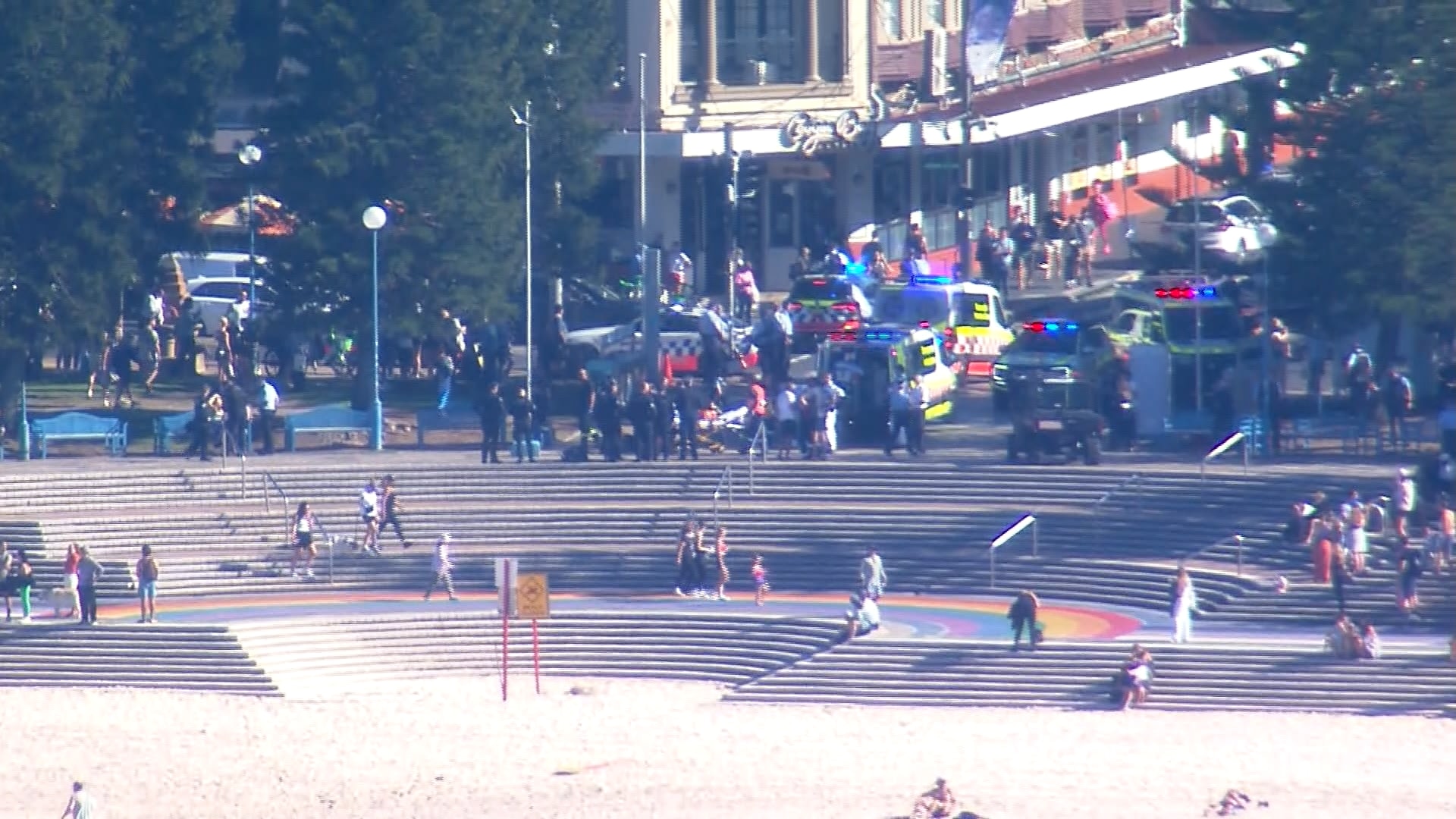 Breaking: Woman suffers critical injuries after shark attack in Sydney's east