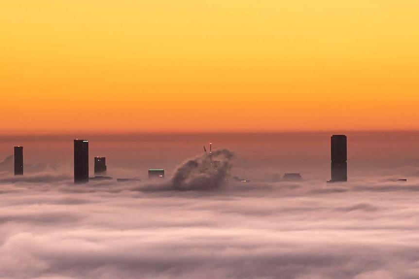 Buildings poke through thick fog in Brisbane city in the early morning sunrise.