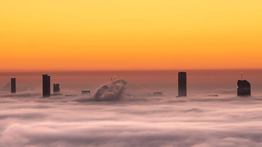Buildings poke through thick fog in Brisbane city in the early morning sunrise.