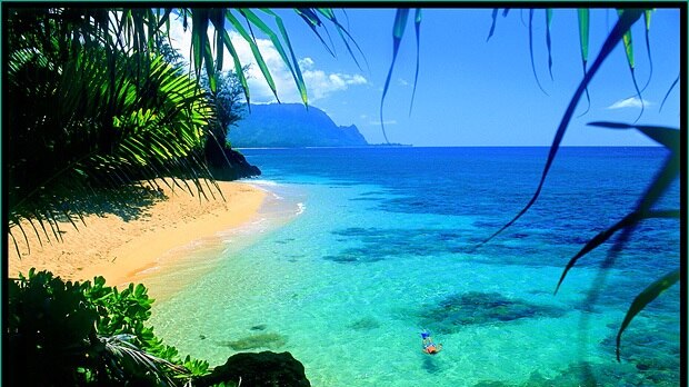 'Snorkel Hawaii' - Vincent Khoury Tylor - www.hawaiianphotos.net