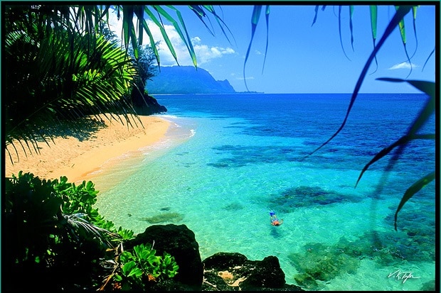 'Snorkel Hawaii' - Vincent Khoury Tylor - www.hawaiianphotos.net