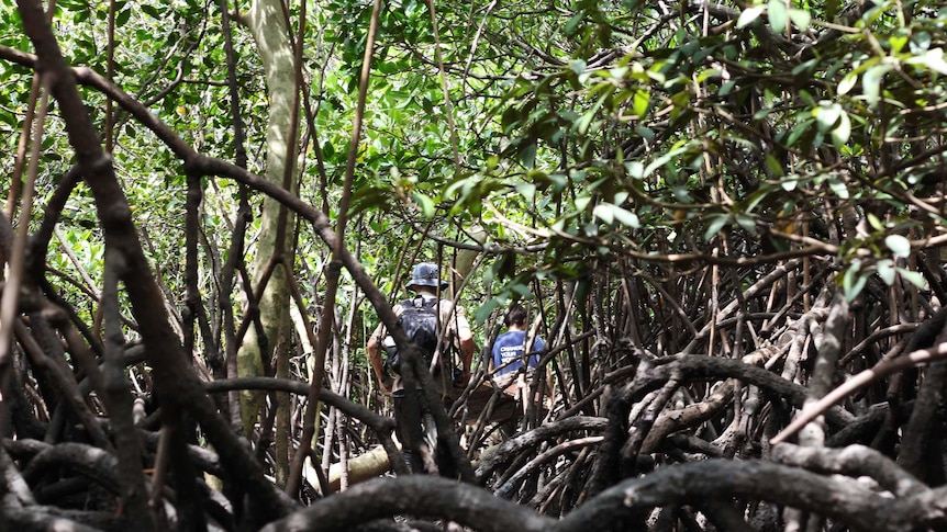 Two people's feet hold a wooden table and trudge through muddy mangroves.