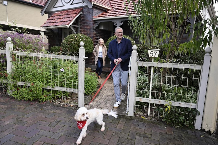 Anthony Albanese and Jodie Haydon walk out of his home with their dog, Toto.