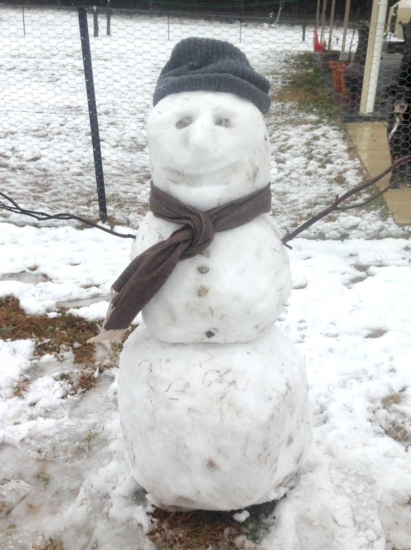 Stanthorpe snowman