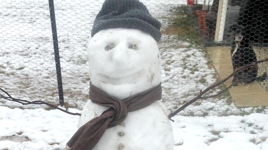 Stanthorpe snowman