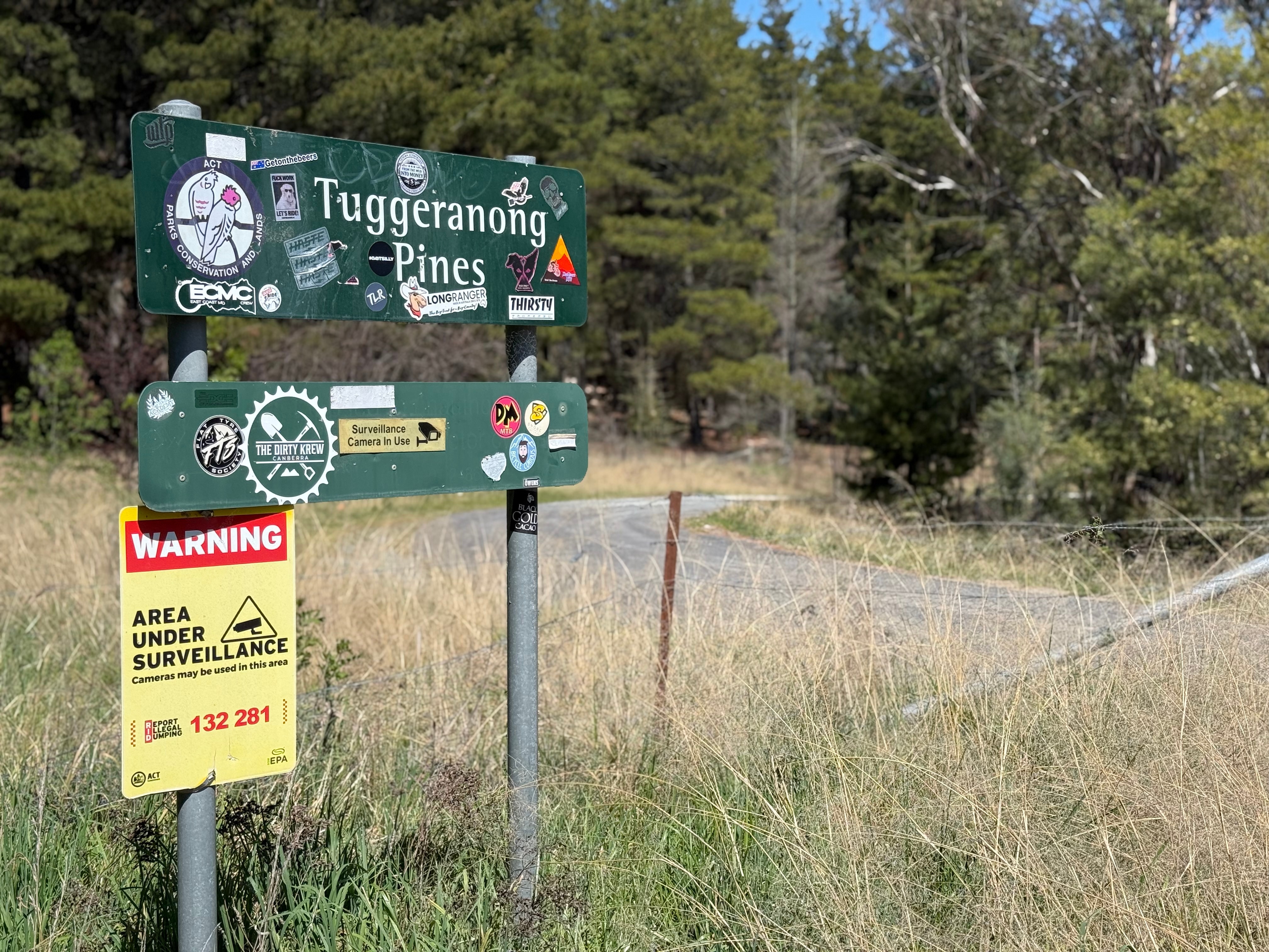 Police say two sheep dead after Canberra property invaders injured flock