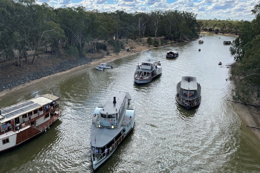 Paddlesteamers on a river