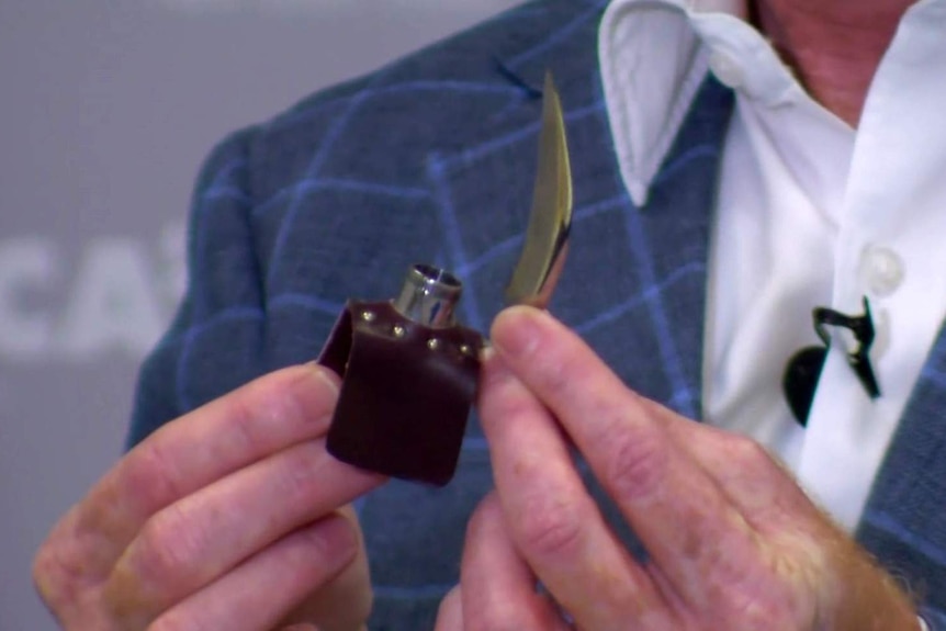 Une lame de couteau tenue dans la main d'un homme.