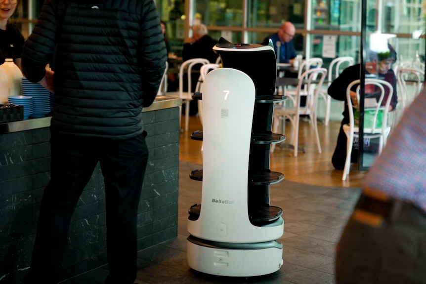 A white robot inside a cafe in Canberra.