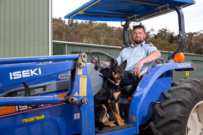 A kelpie and prison authority smiling while sitting on a blue tractor