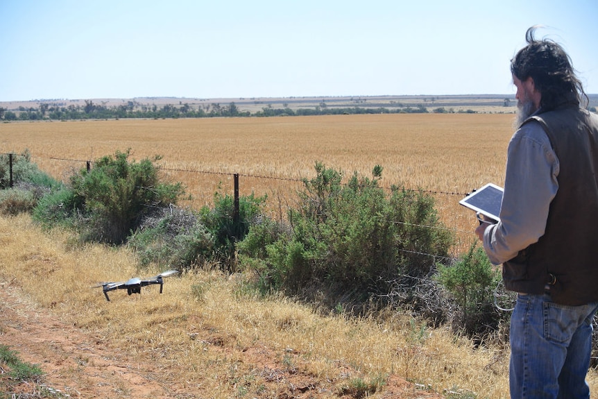 Tony Hill operating a drone taking off near a wheat field.