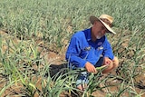 St George farmer David Moon wants to supply Australian garlic year round to close the import gap.