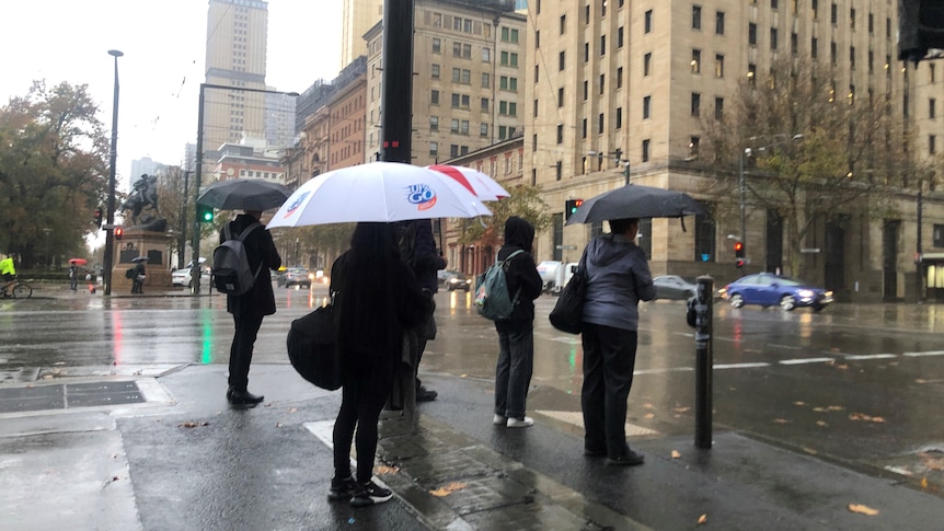 People under umbrellas wait at traffic lights in the pouring rain