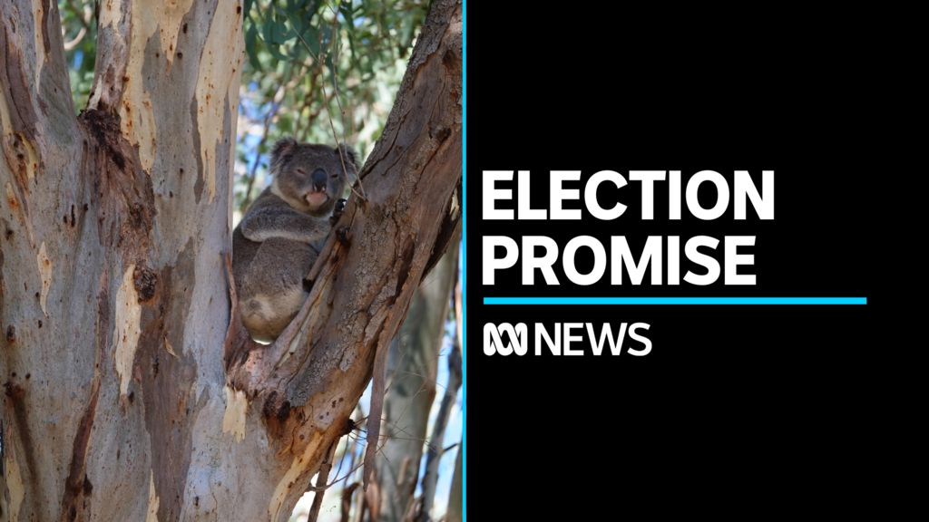 Queensland is 'epicentre' of country's housing crisis, Qld social