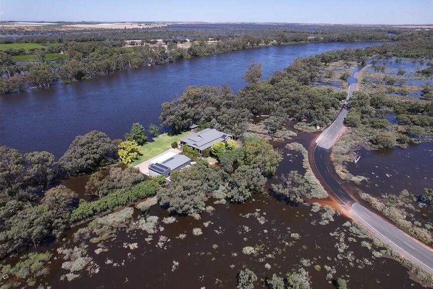 A Riverland property cut off by rising river levels.