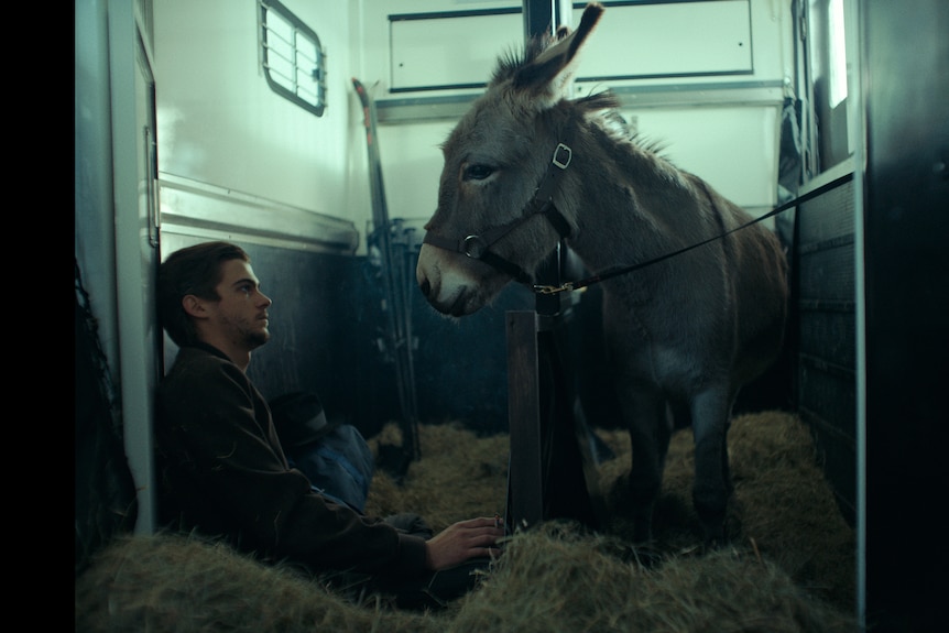 White man with dark hair sits against the wall of a hay-filled stable and reaches his hand out to a grey donkey.