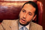Saadi Gaddafi has entered Niger, the country's justice minister said