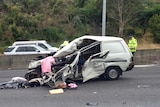 Van involved in the crash