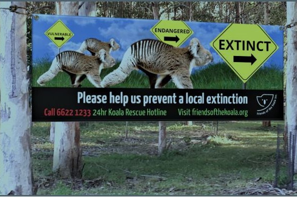 A banner warning about possible koala extinction