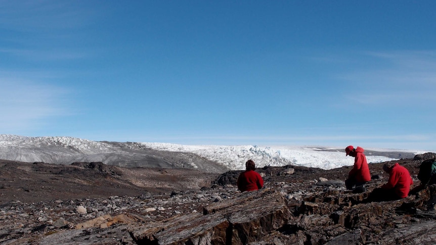 An image of Greenland where fossils were found