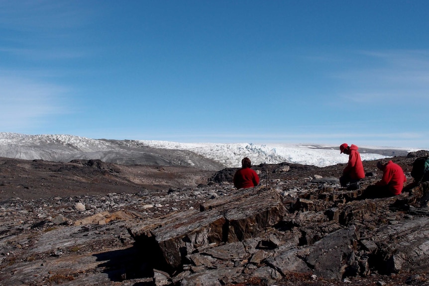 An image of Greenland where fossils were found